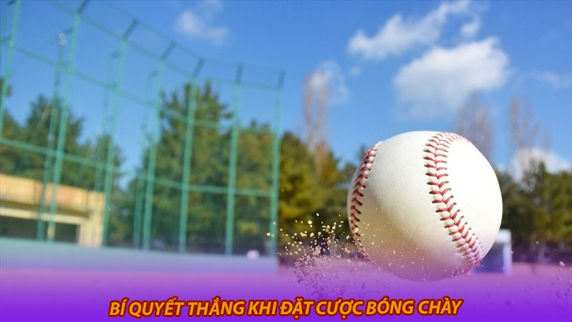 Bí quyết thắng khi đặt cược bóng chày