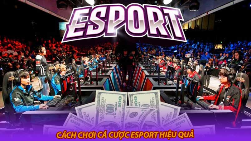 Cách chơi cá cược esport hiệu quả