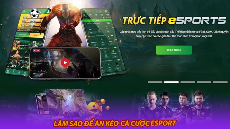 Làm sao để ăn kèo cá cược Esport