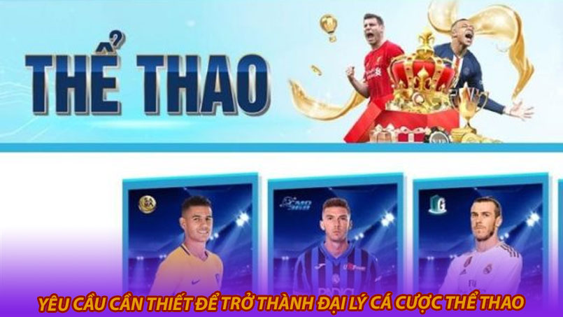 Yêu cầu cần thiết để trở thành đại lý cá cược thể thao