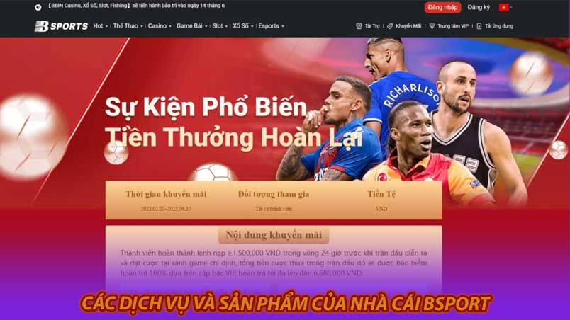 Các dịch vụ và sản phẩm của nhà cái Bsport